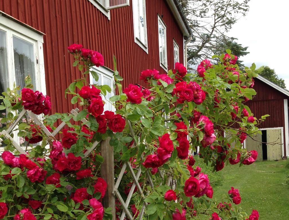Stf Regnagarden Hostel Exteriér fotografie