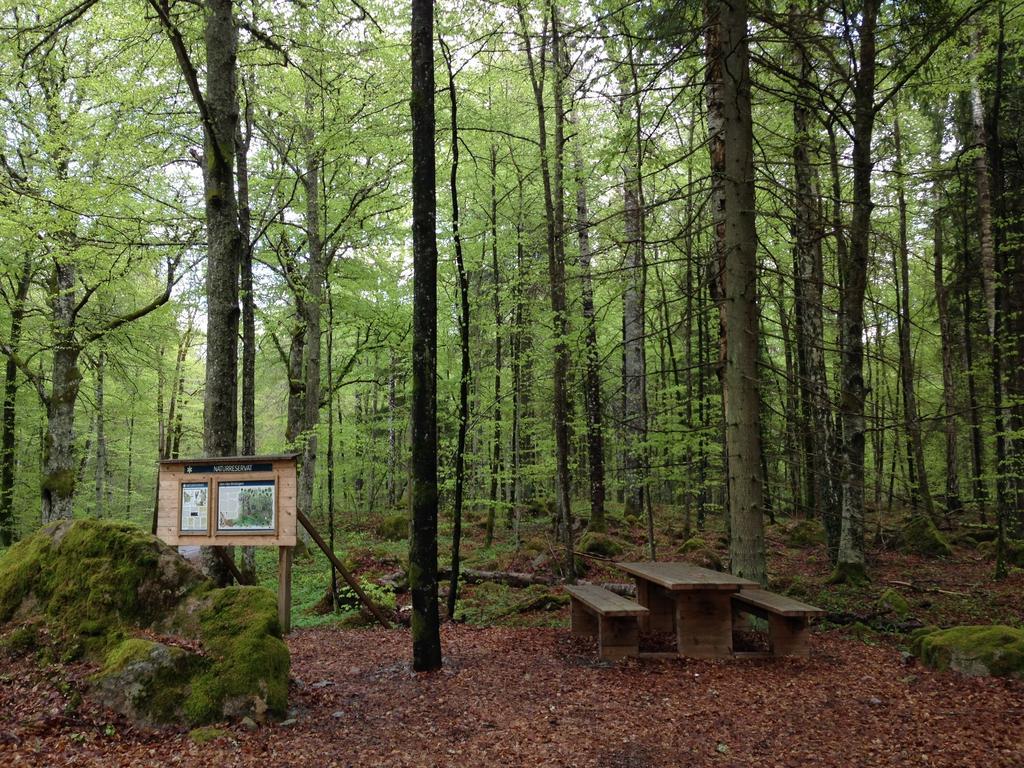Stf Regnagarden Hostel Exteriér fotografie